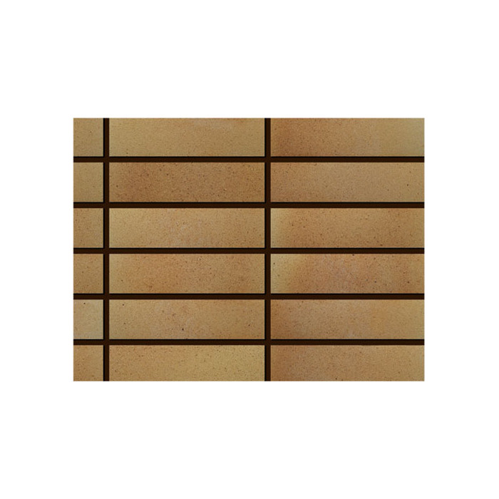 Облицовочный клинкерный кирпич, MN Group N33, 250х65х25 мм, Marmo